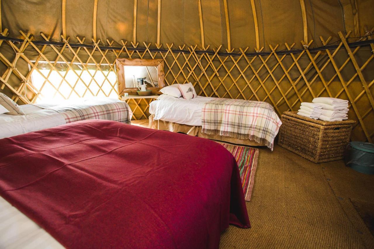 Rock Farm Slane - Glamping 호텔 객실 사진